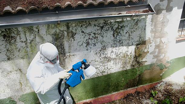 Top rated local Mold Remediation specialists in Bedford, VA